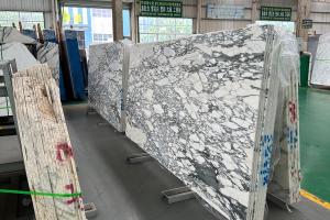優意公司供應大花白139500