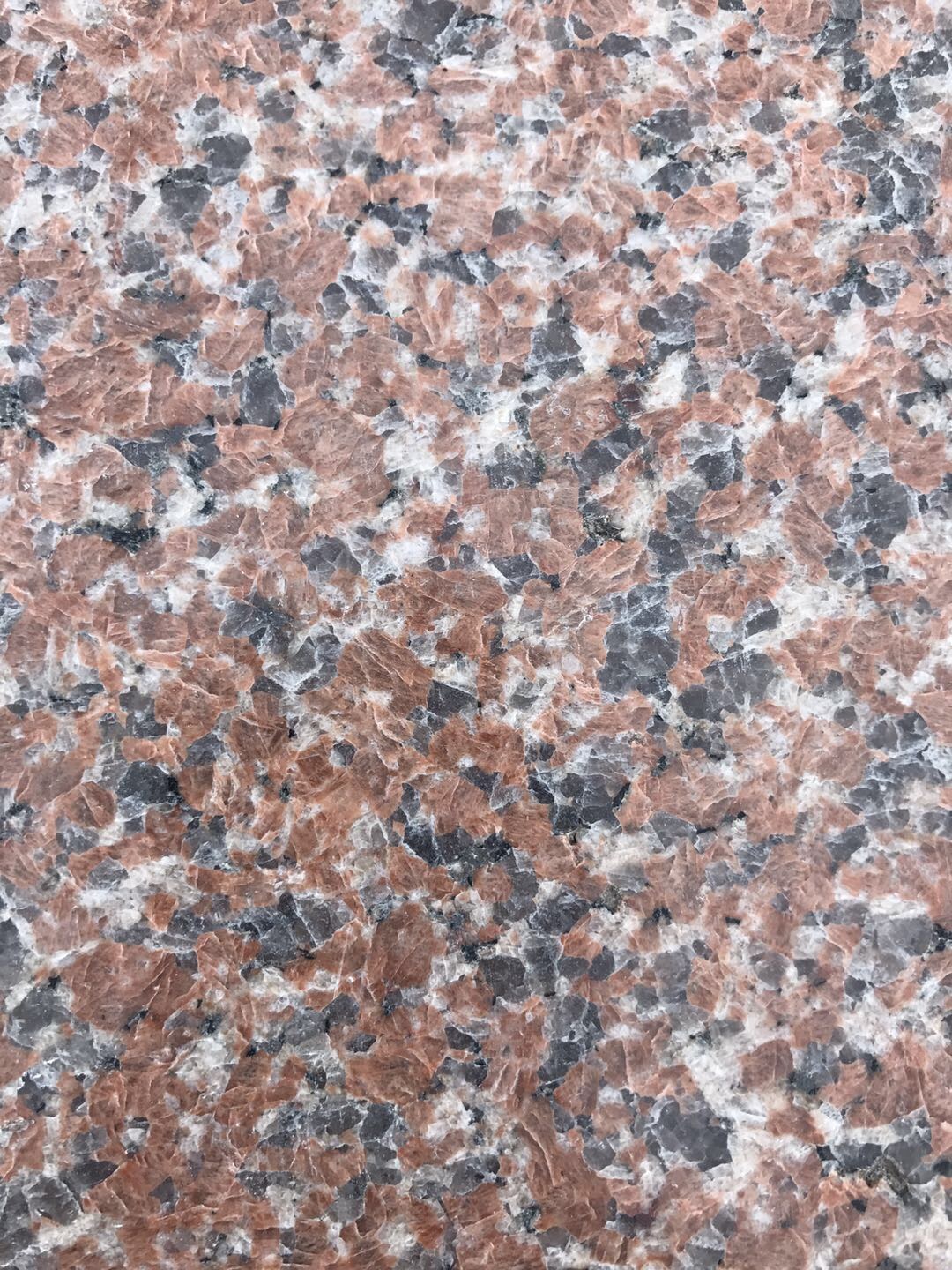 石岛红 皇室啡 皇室珍珠 皇室晶钻 中国棕