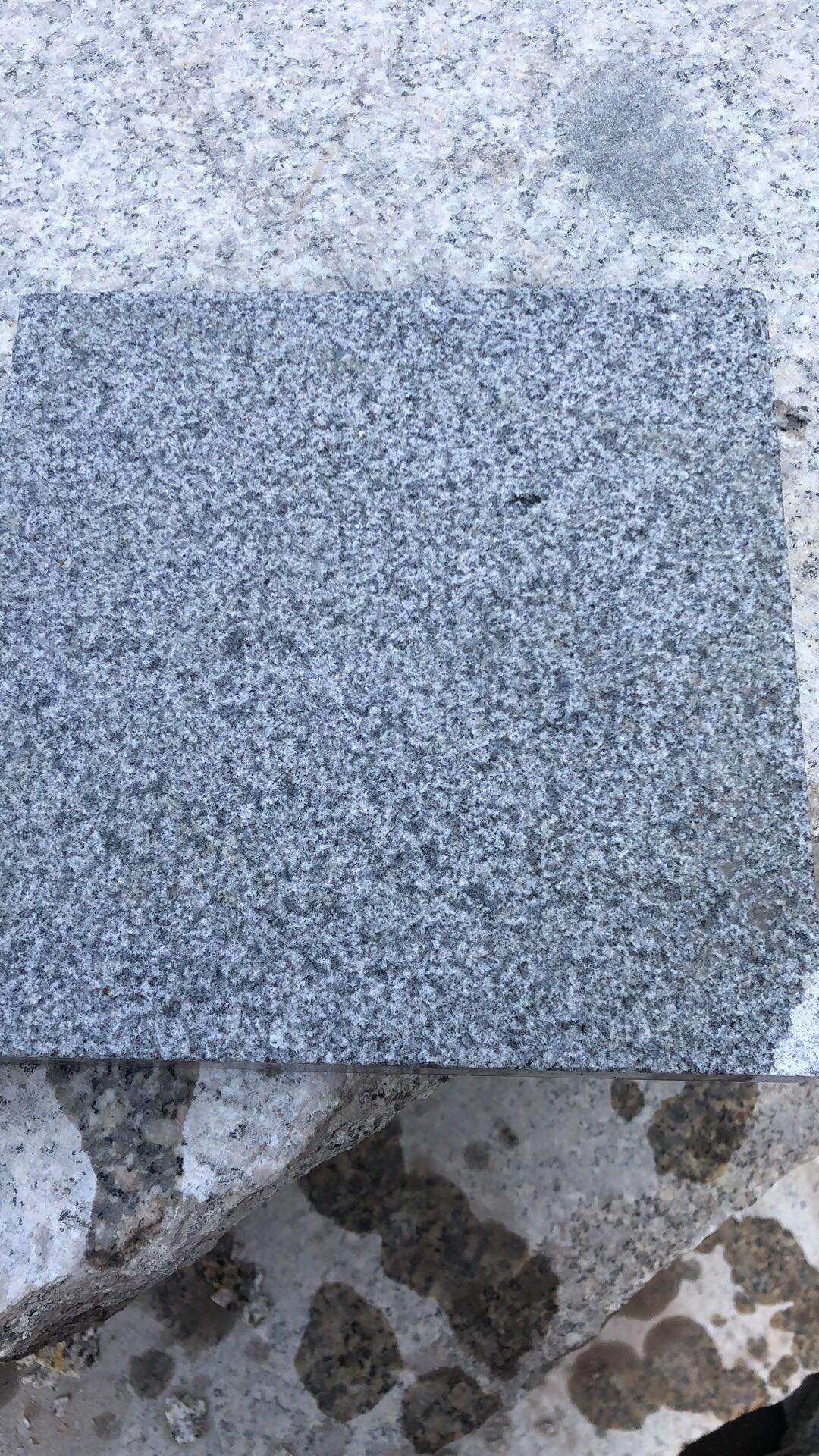 芝麻白,芙蓉白,芝麻黑,台湾红,芝麻灰,-供应信息-中国石材网