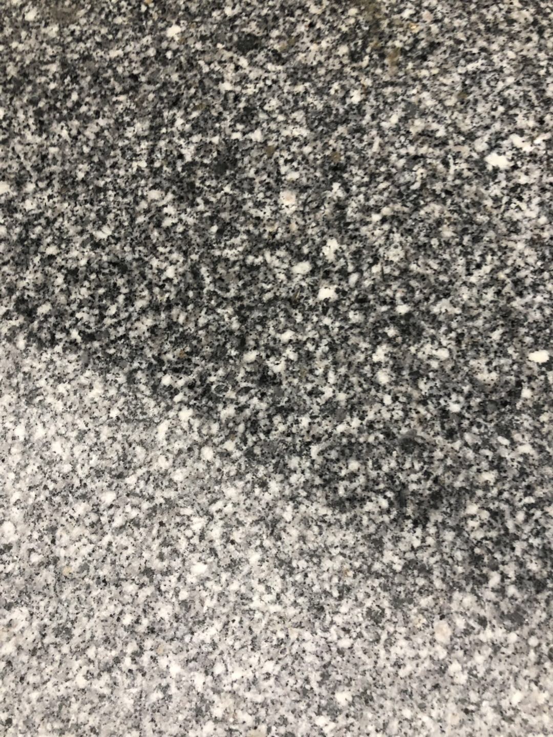 芝麻灰655-供应信息-中国石材网