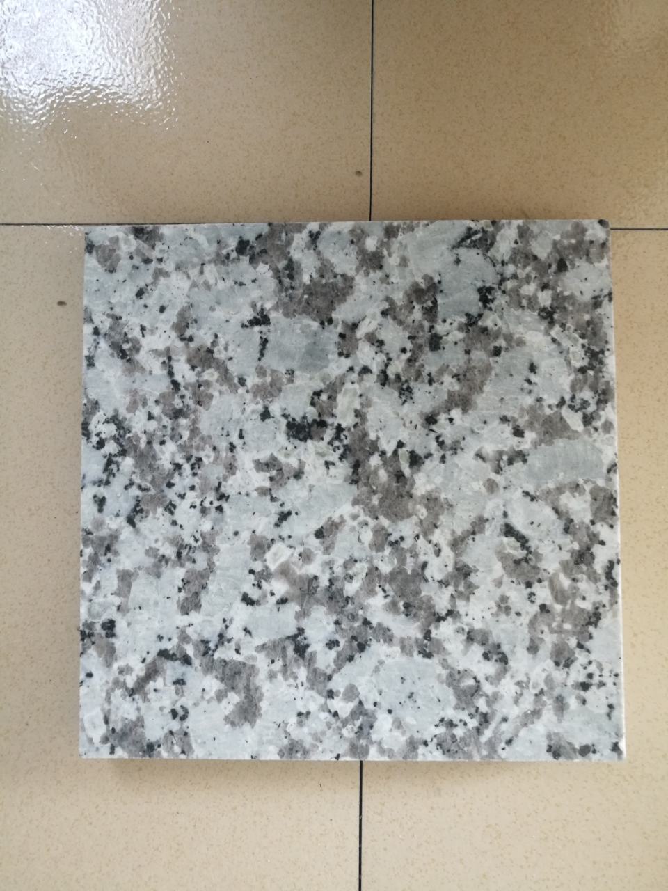 芭拉白(大白花)