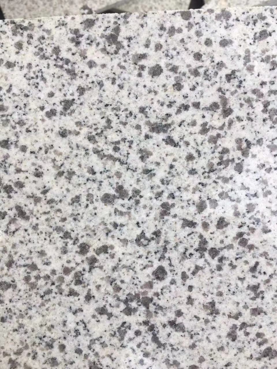大圖