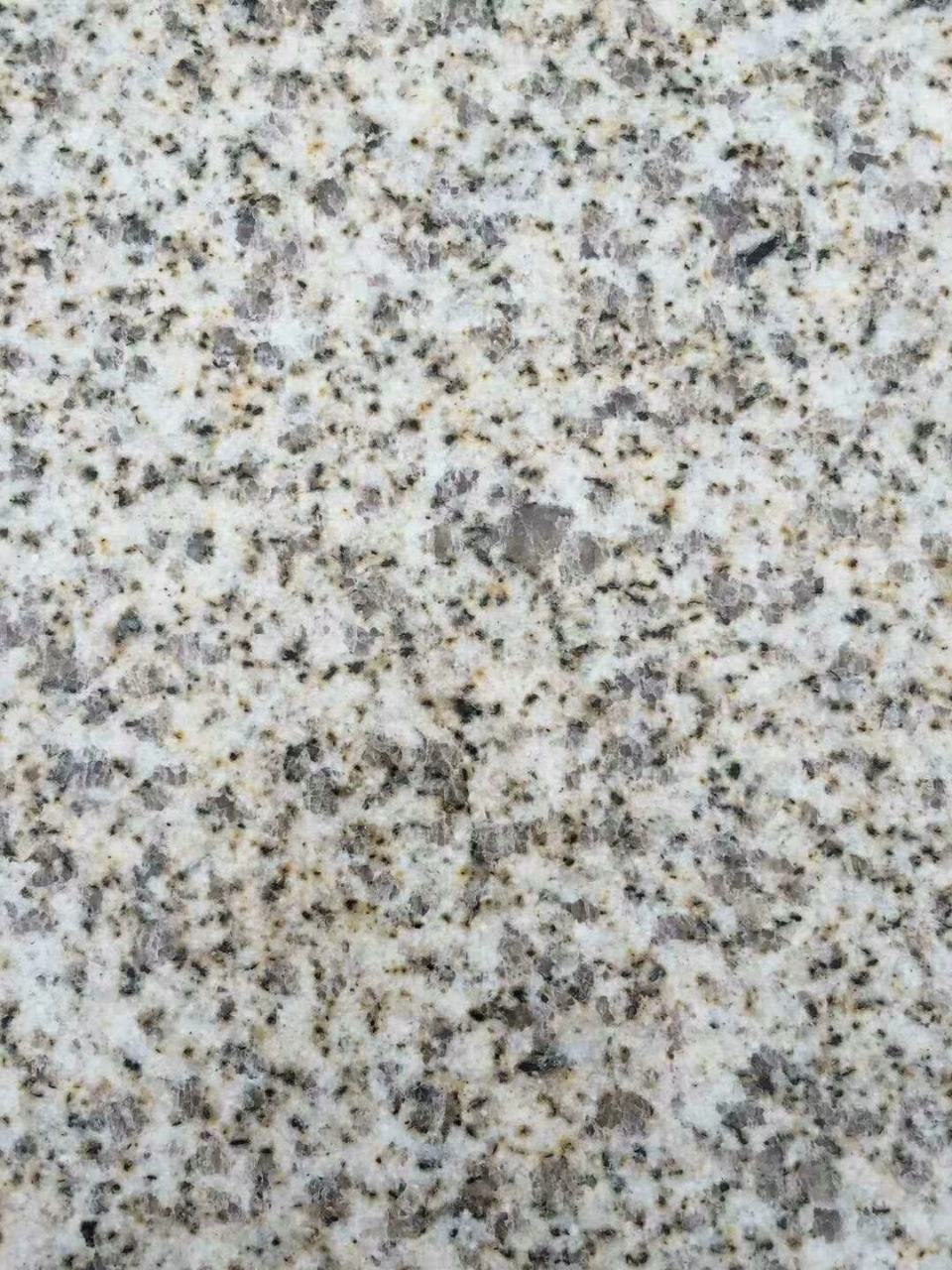 大圖