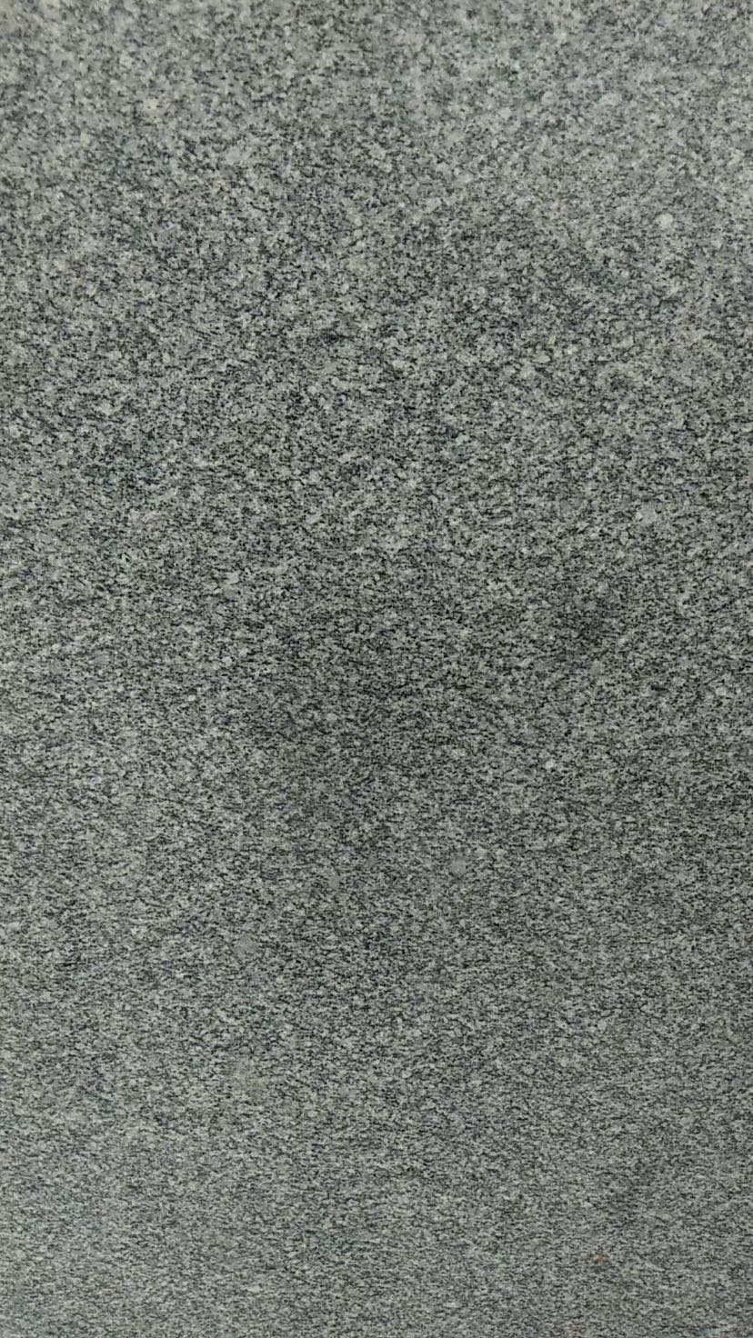 鲁灰芝麻灰芝麻黑