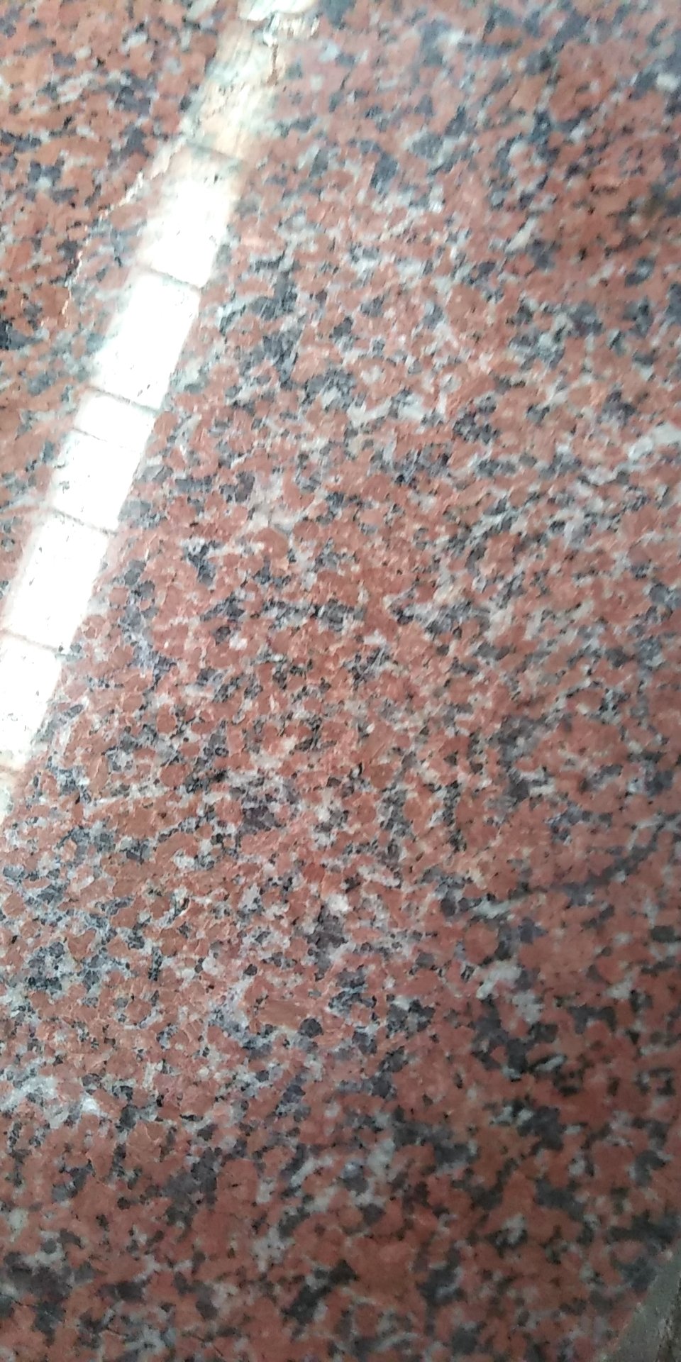 山东威海石岛红直销15615013717