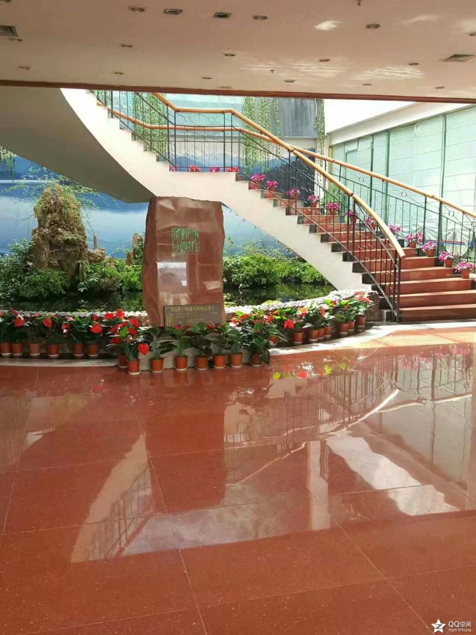 大圖