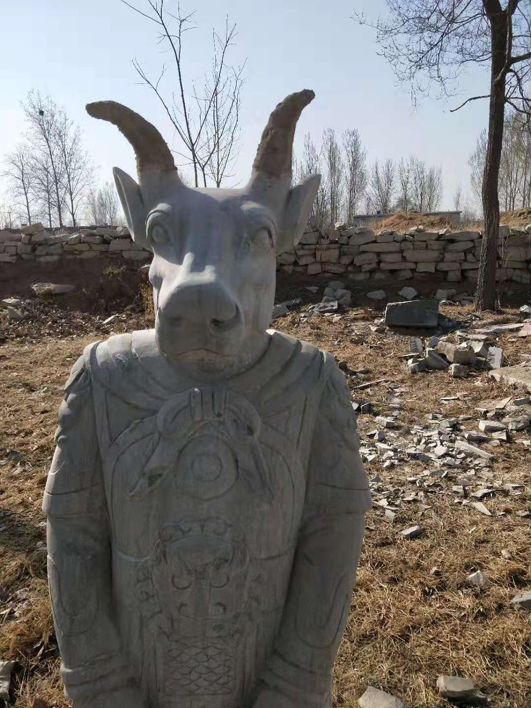 大圖