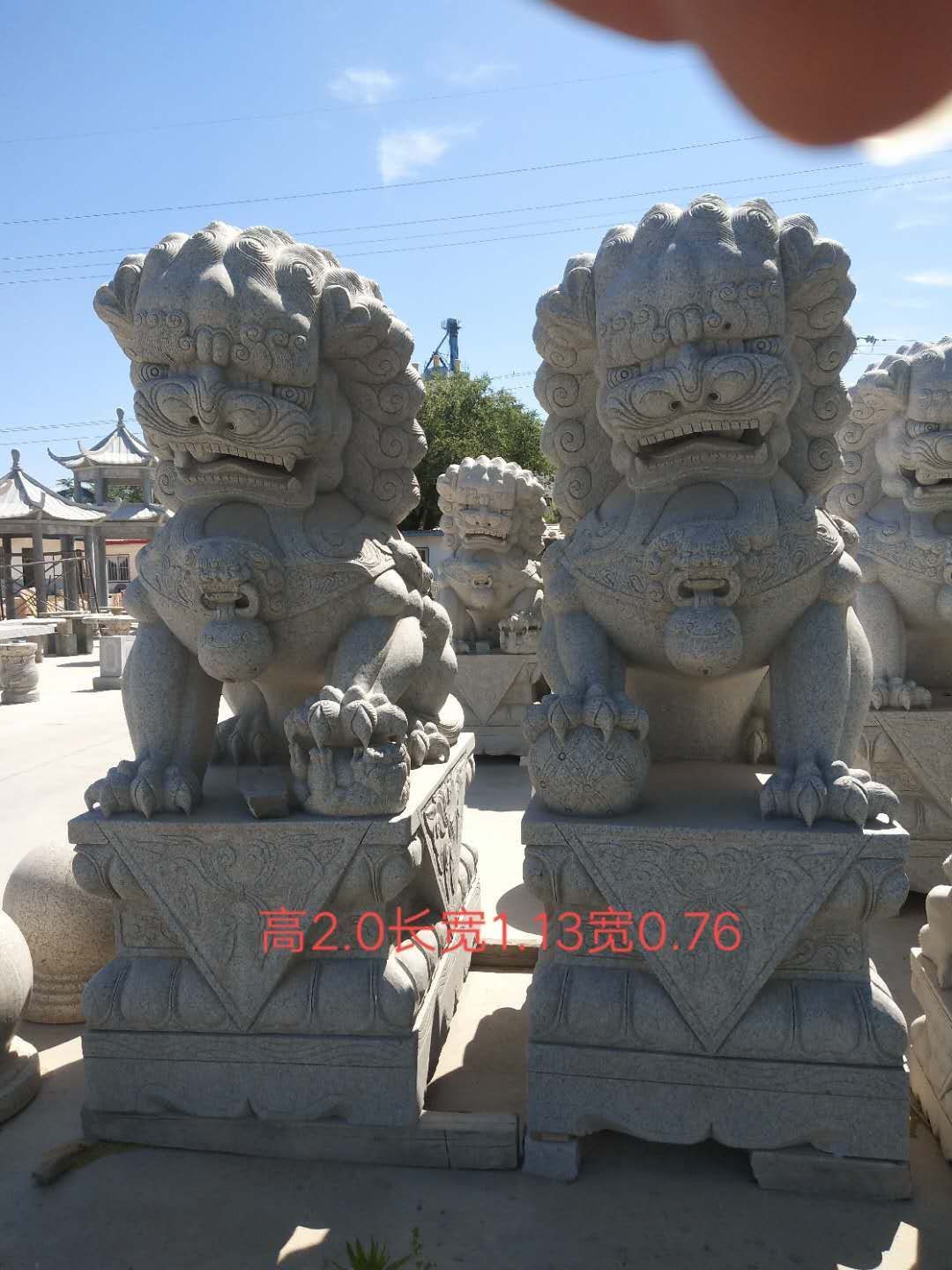大圖
