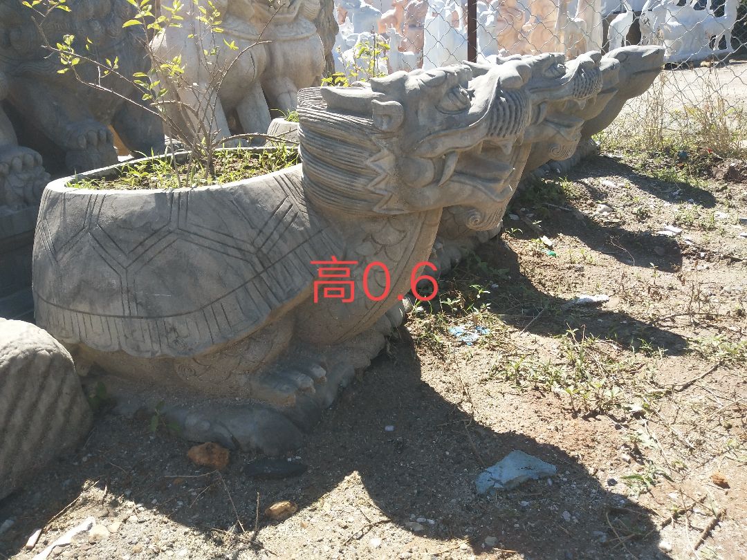 大圖
