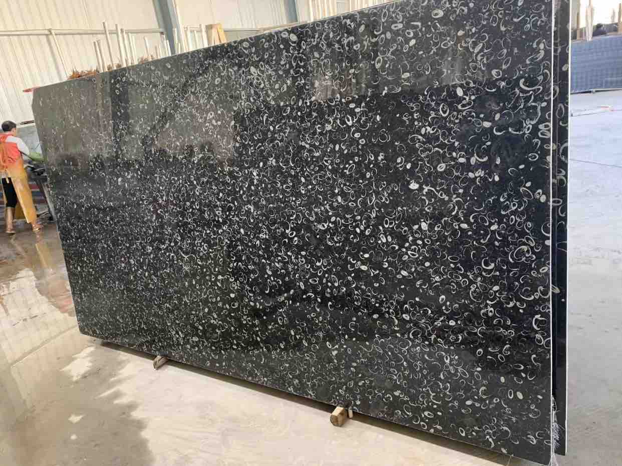 海贝花荒料,精致大板-新品信息-中国石材网