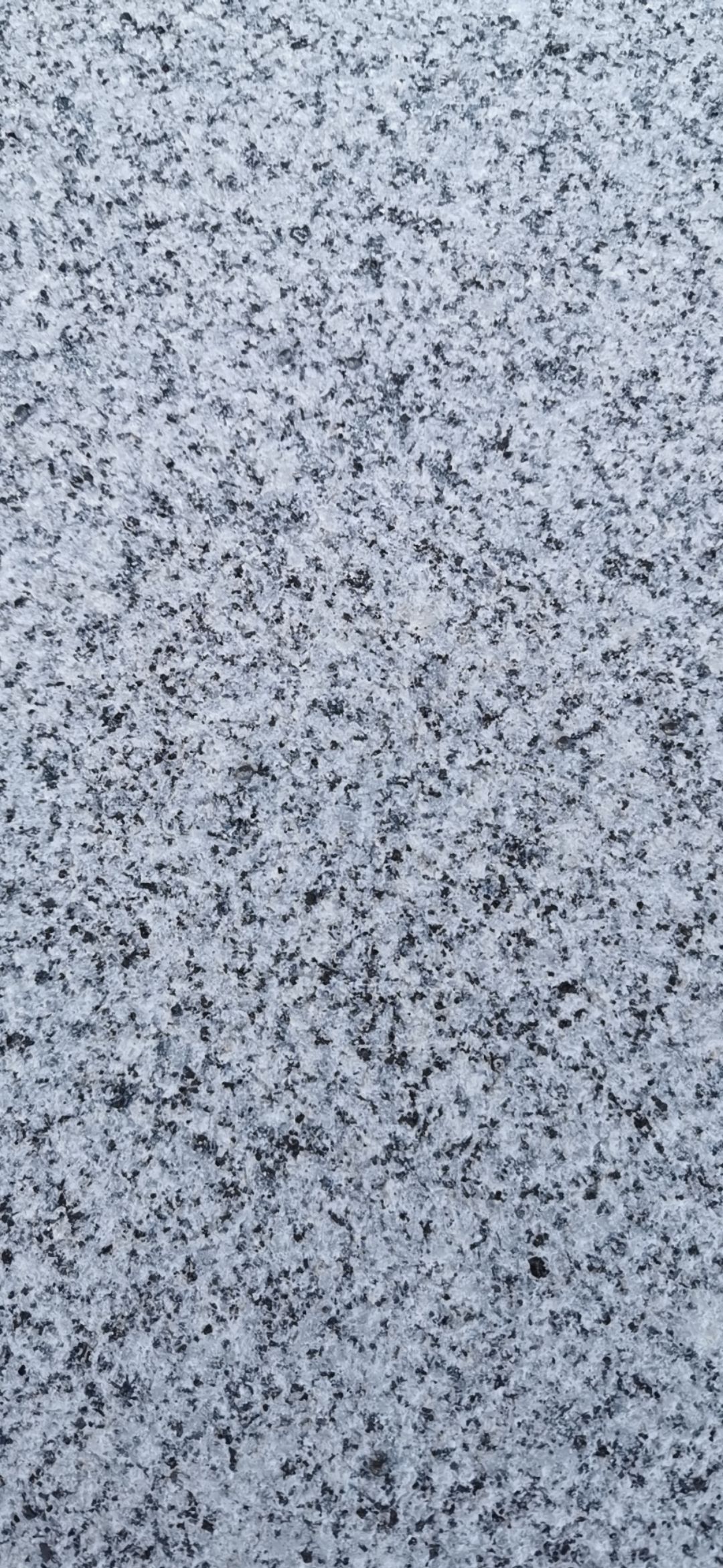 广东芝麻白荔枝面-供应信息-中国石材网