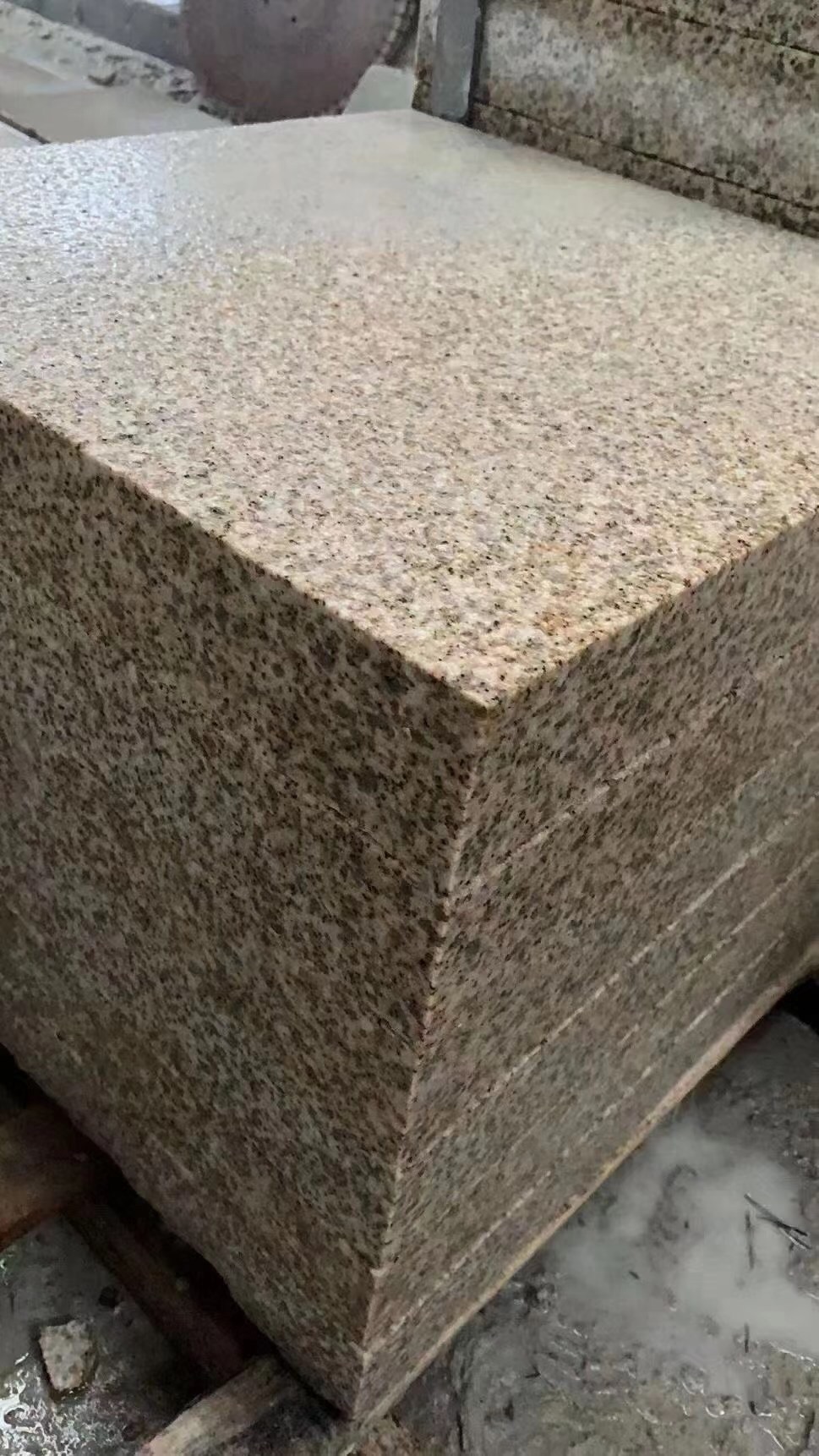 大量湖北黄金麻白麻黄金钻现货 有需求速联-供应信息-中国石材网