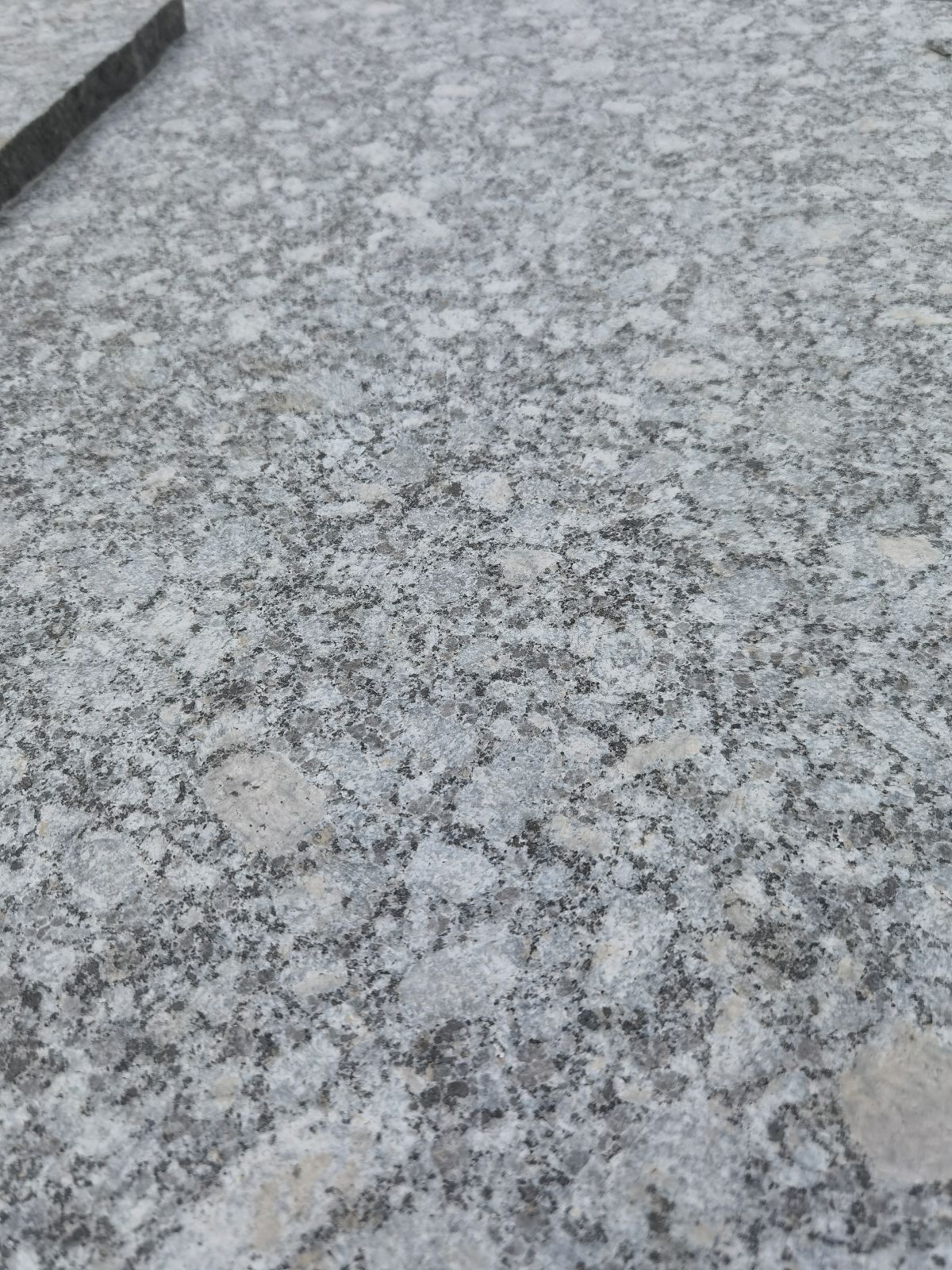 湖南芝麻灰廖建才15180996495