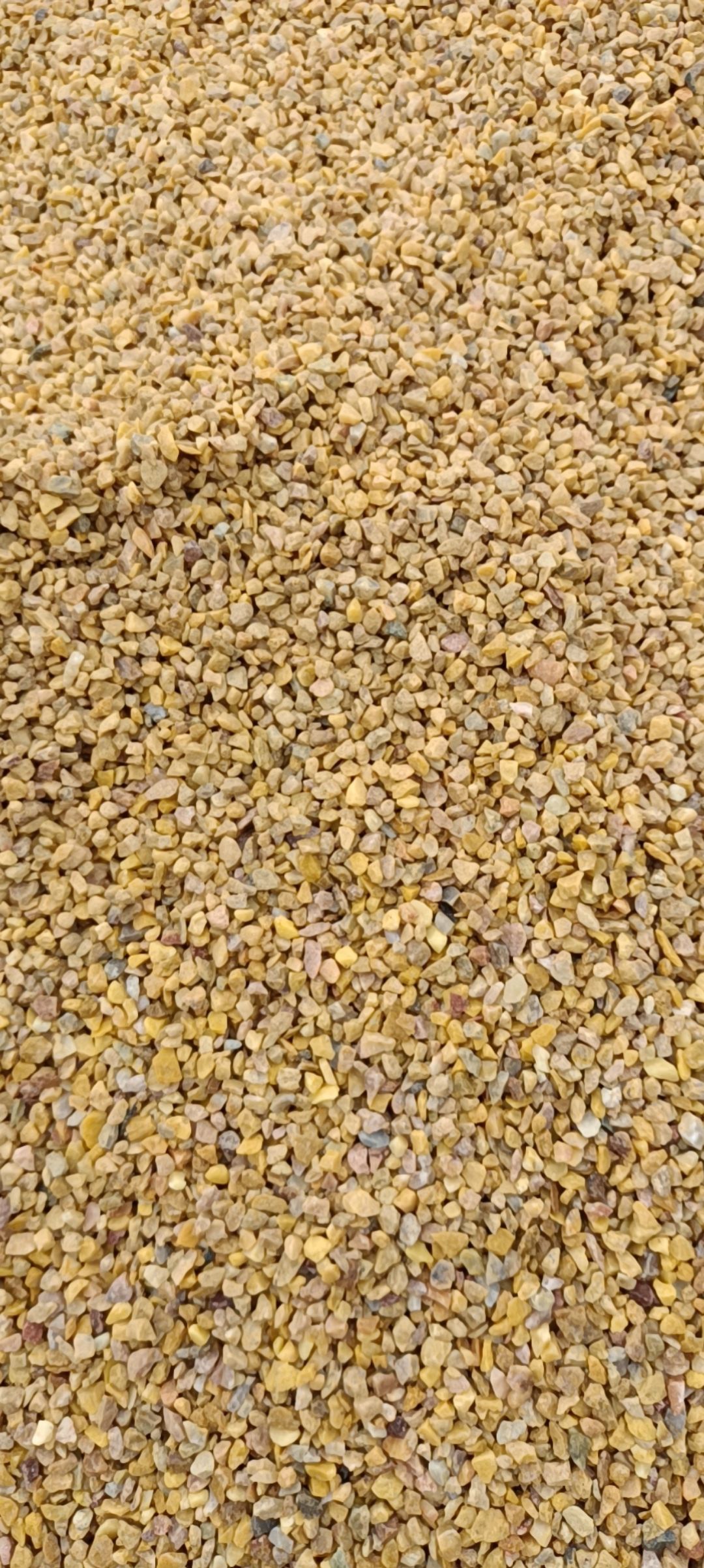 黄色水洗石,胶粘石石子,黄色石子,厂家直-供应信息-中国石材网