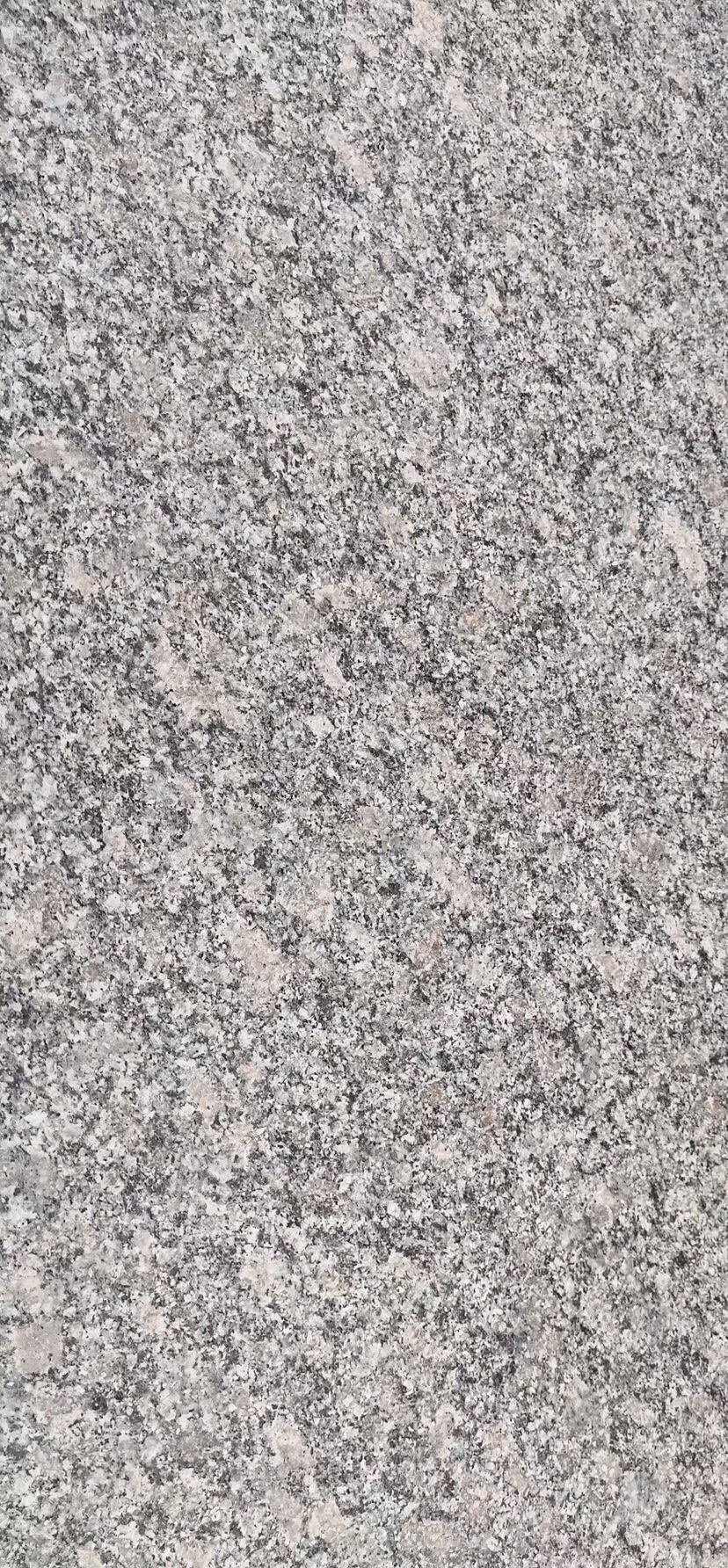 小铁灰 芝麻白珍珠灰 河南芝麻灰 芝麻白大-供应信息-中国石材网