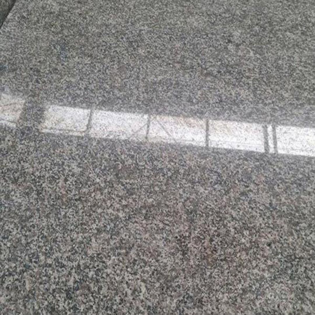 芝麻灰五莲花五莲红