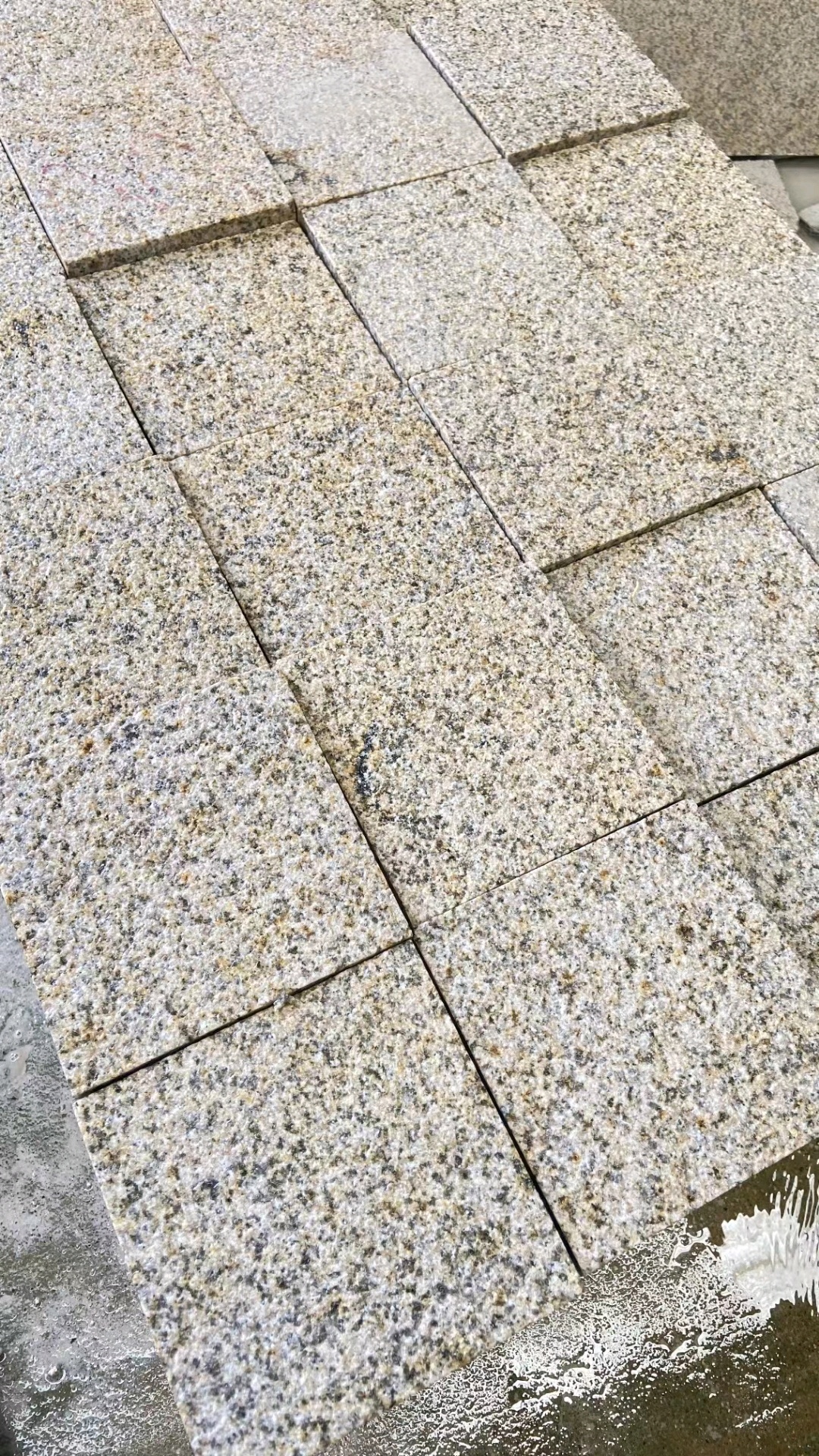 大圖