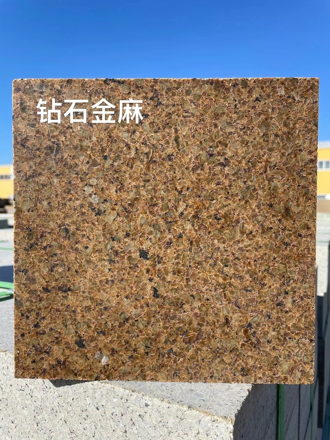 大圖