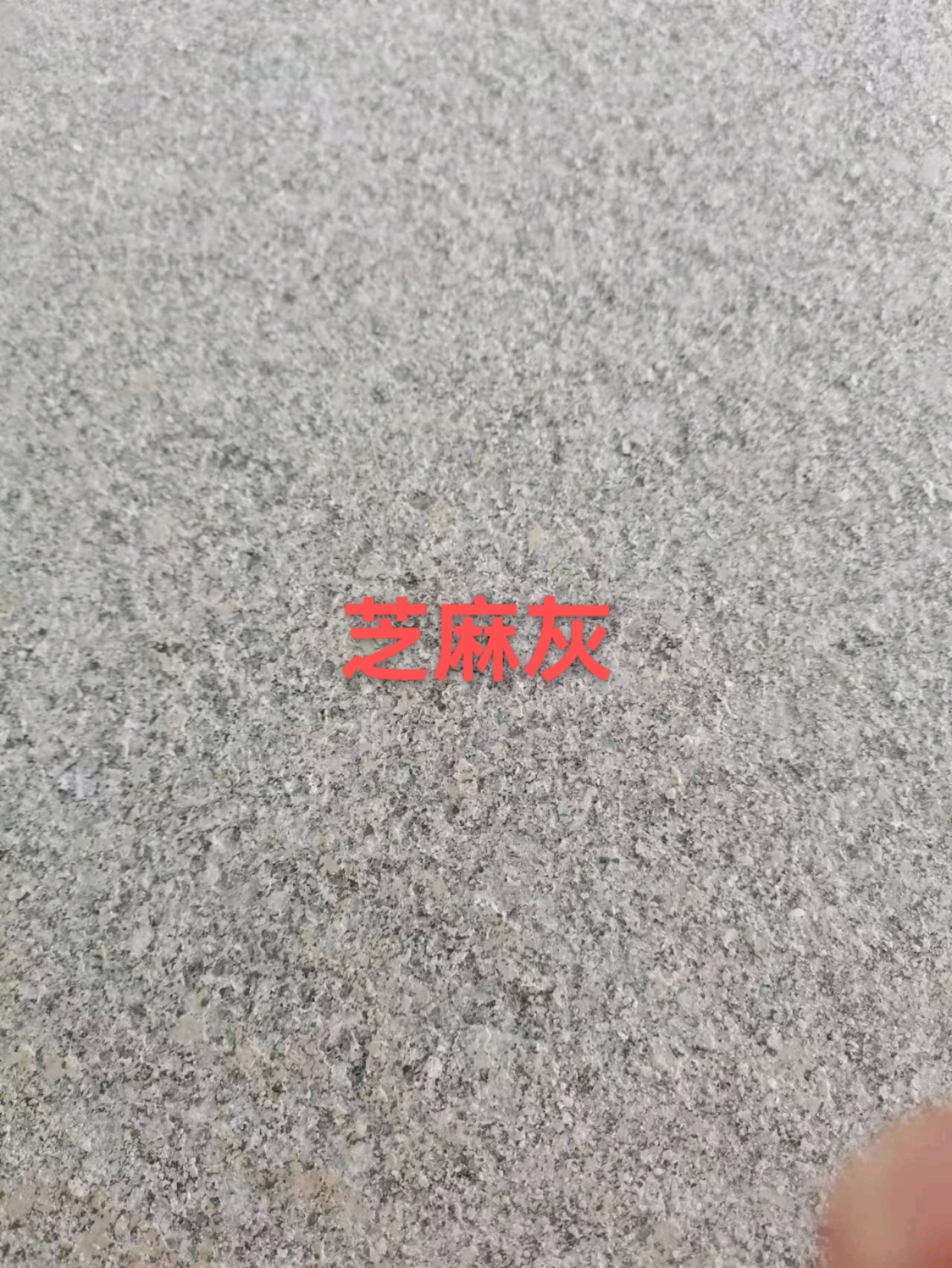 大圖