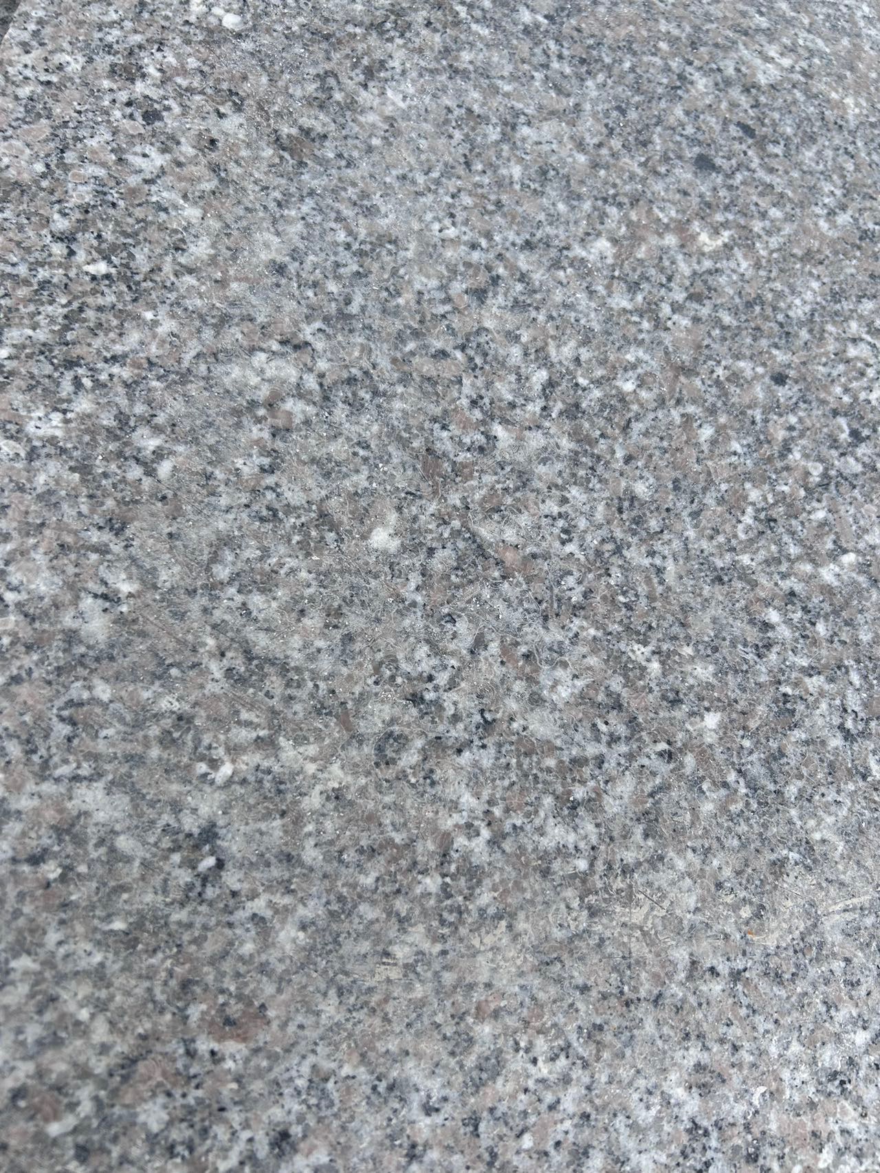 大圖