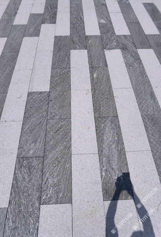 大圖