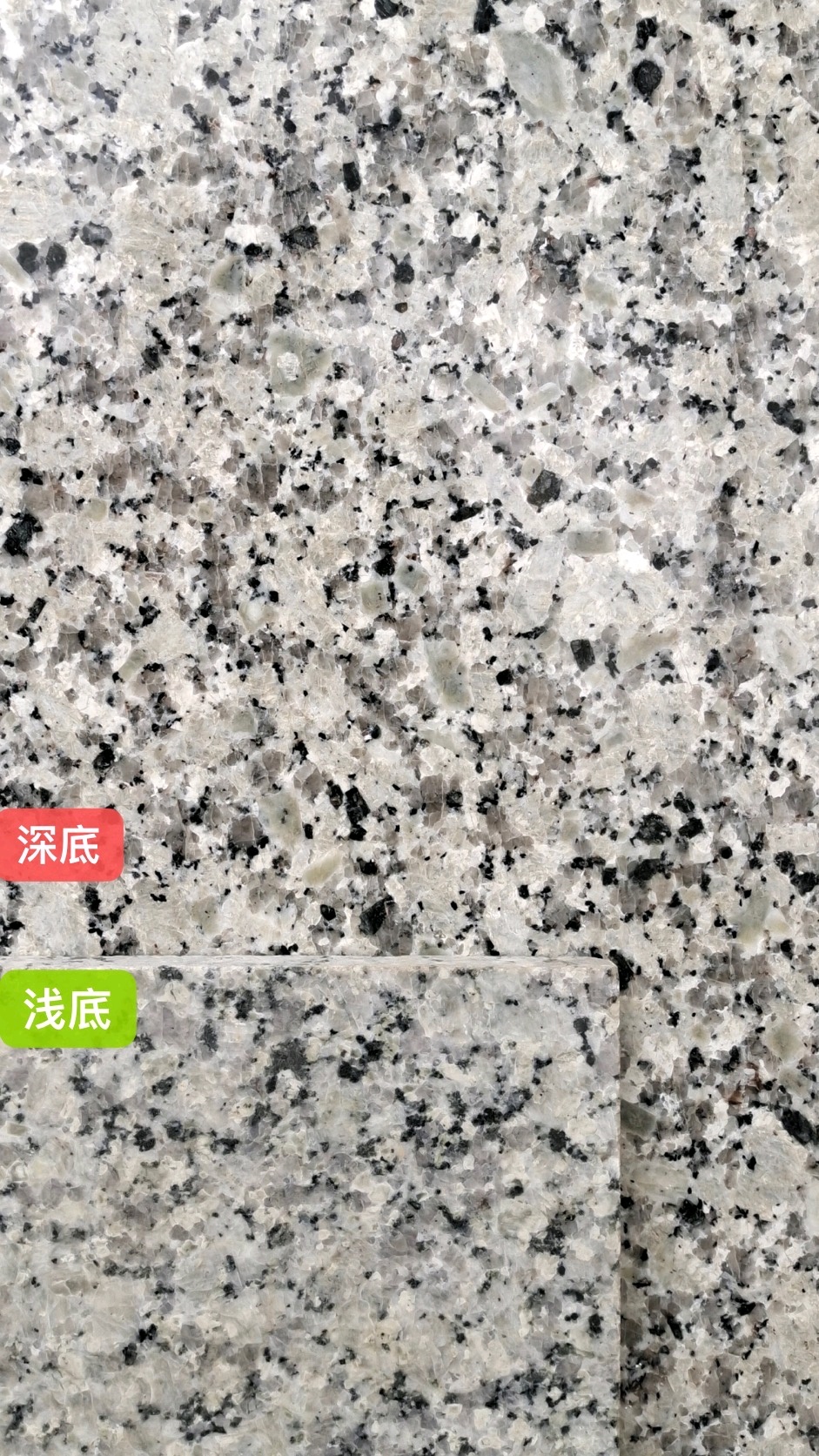 大圖