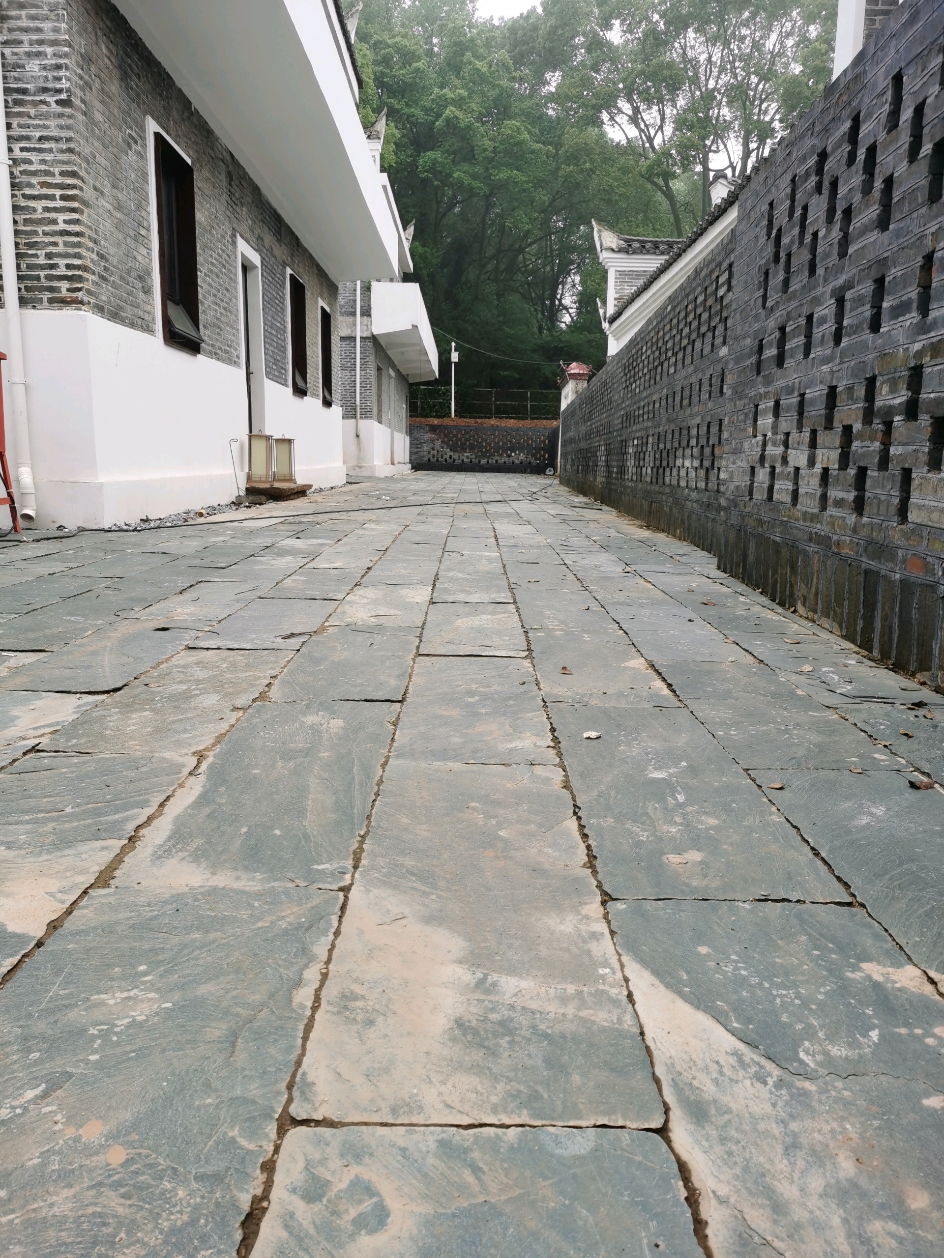 大圖