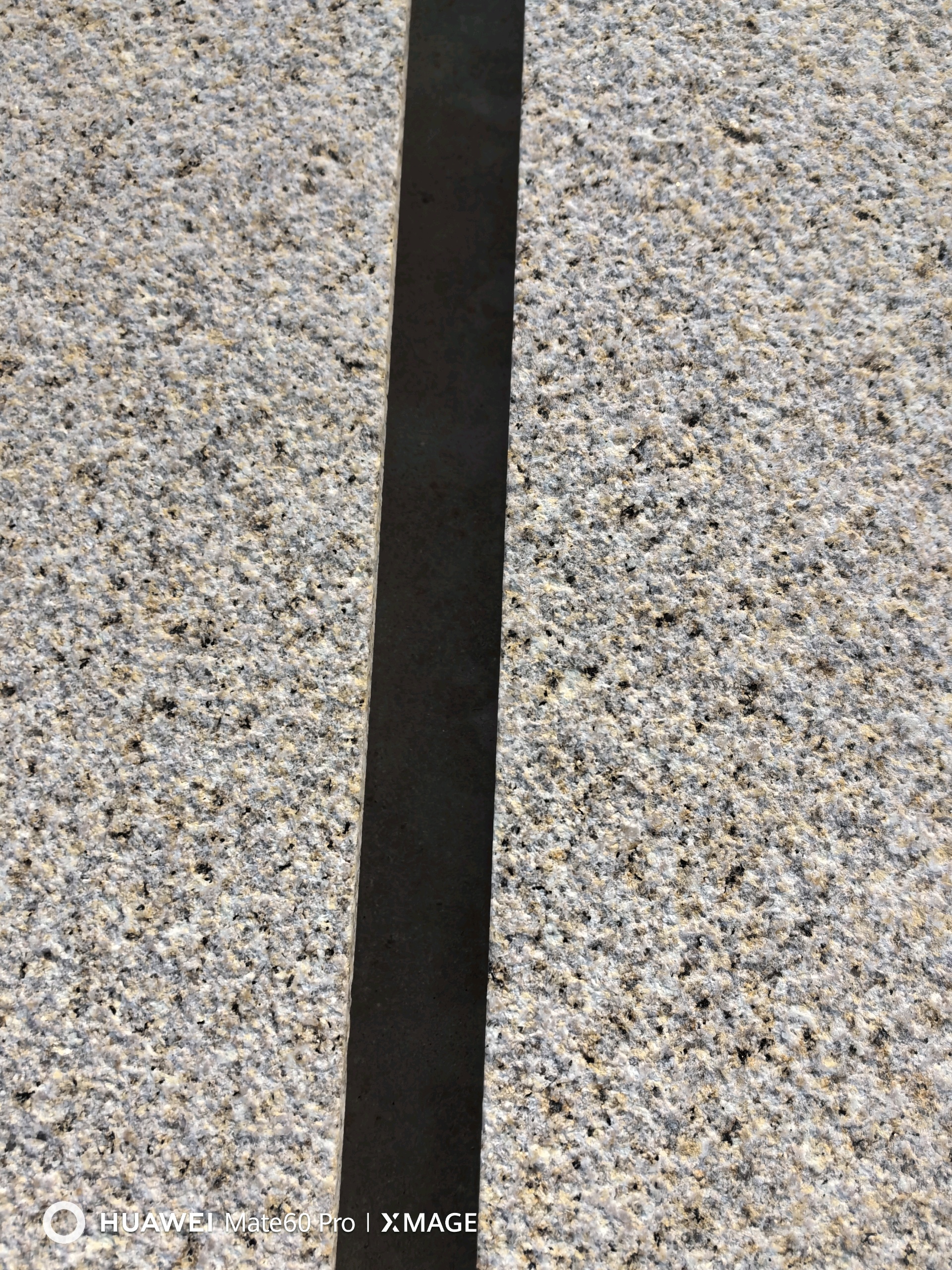 大圖