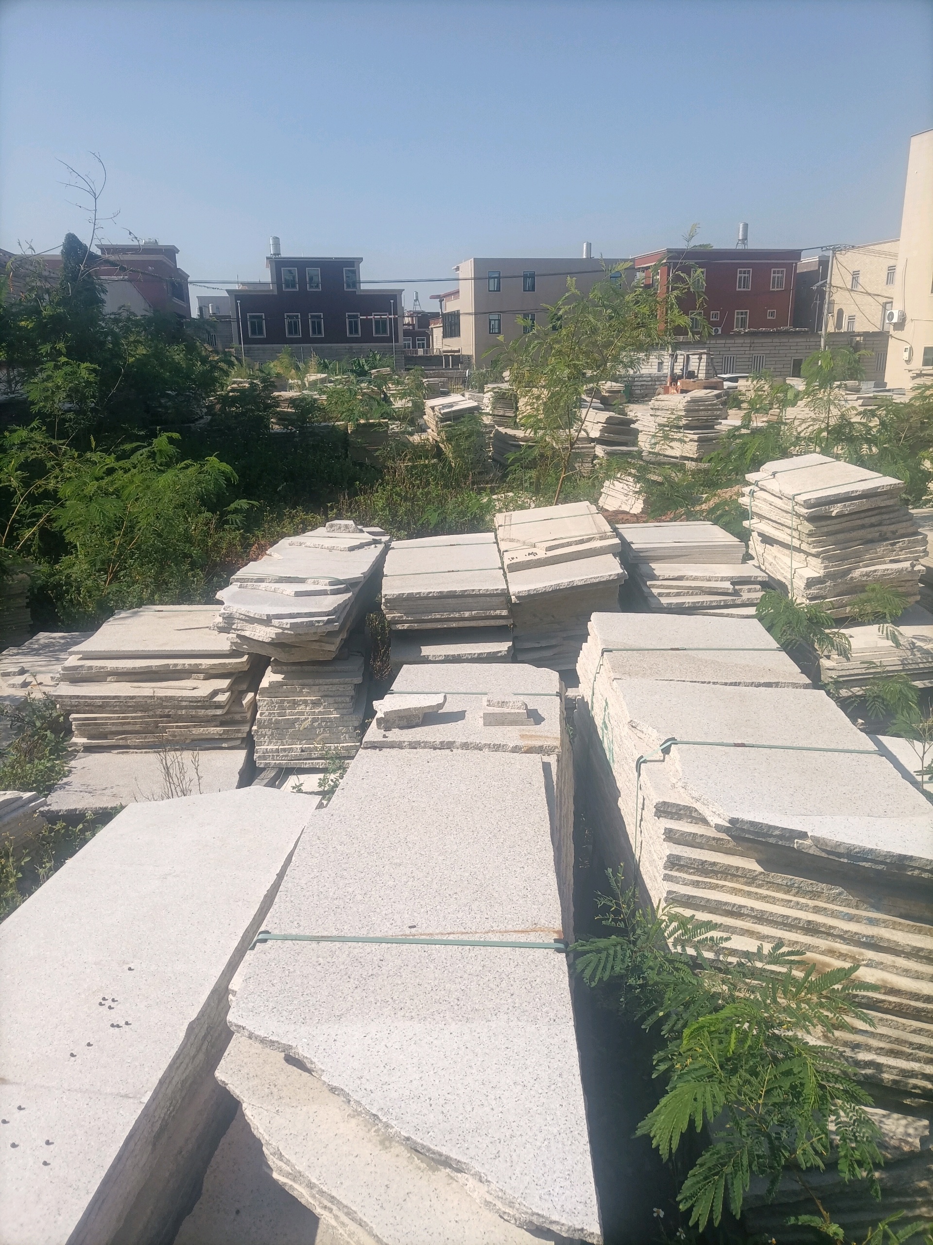 大圖