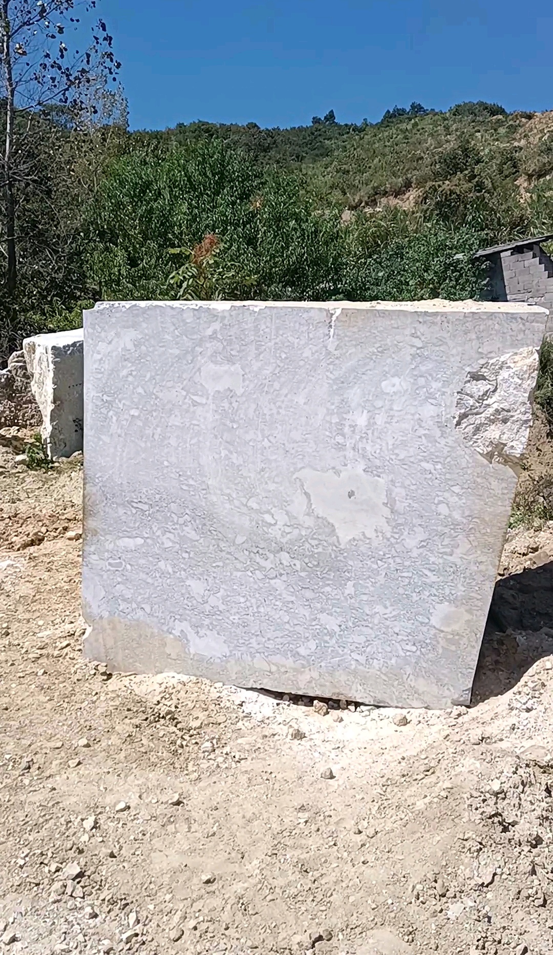 大圖