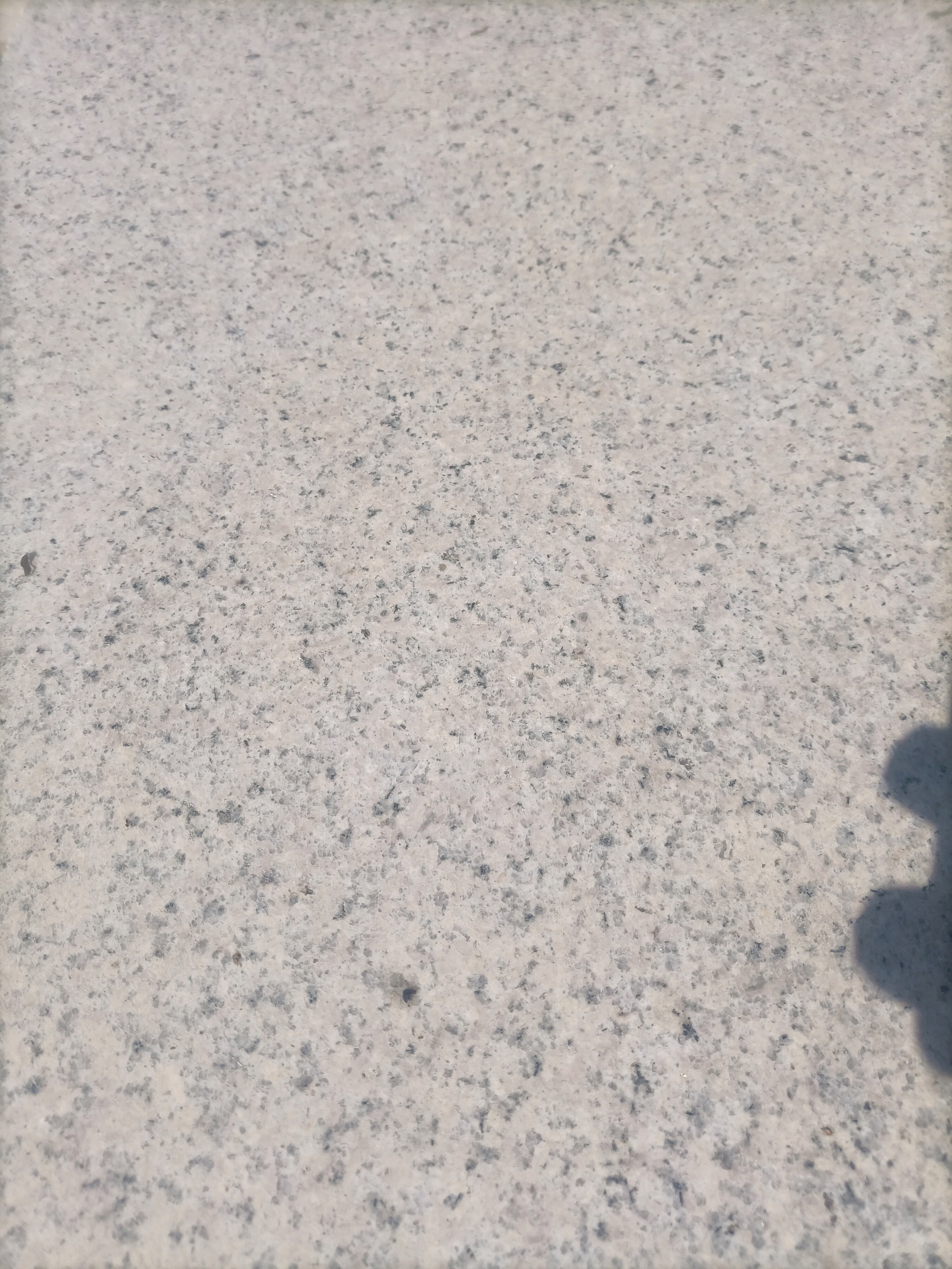 大圖