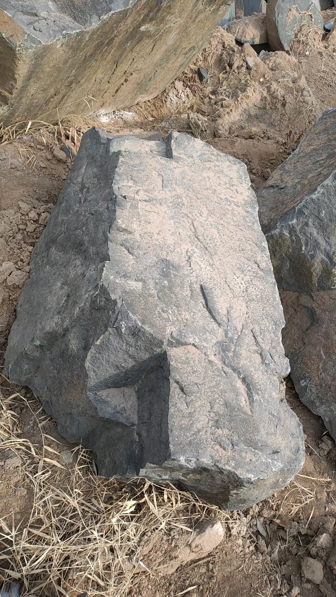 大圖