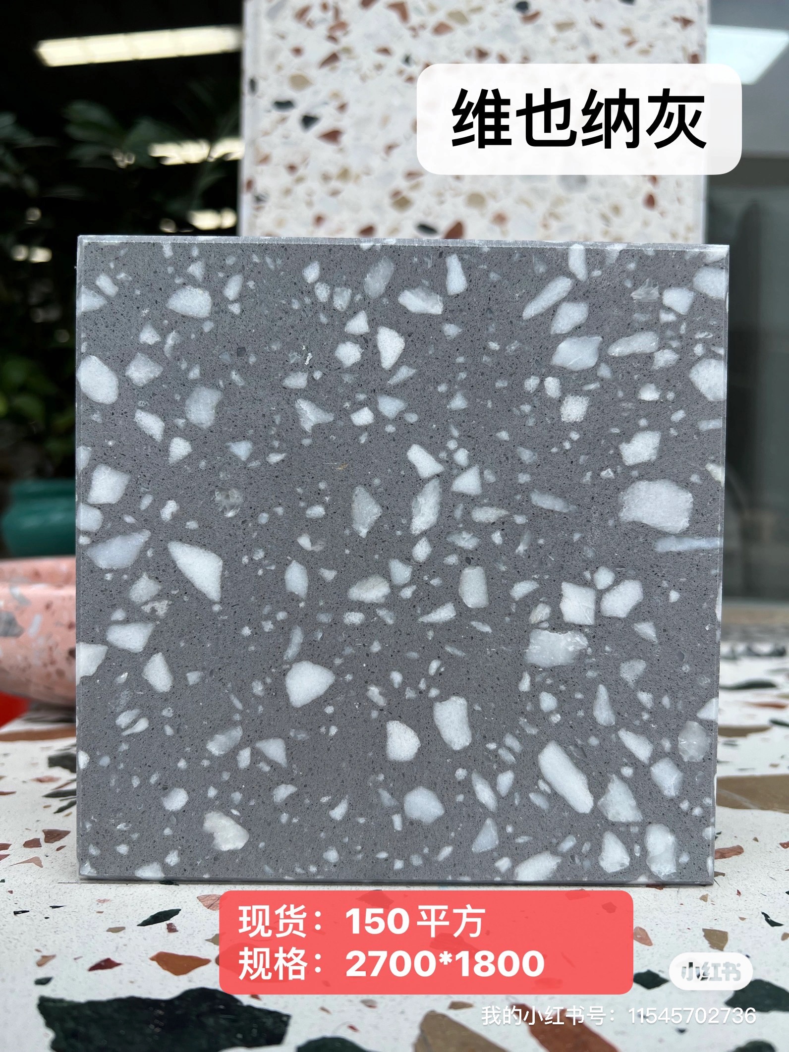 大圖