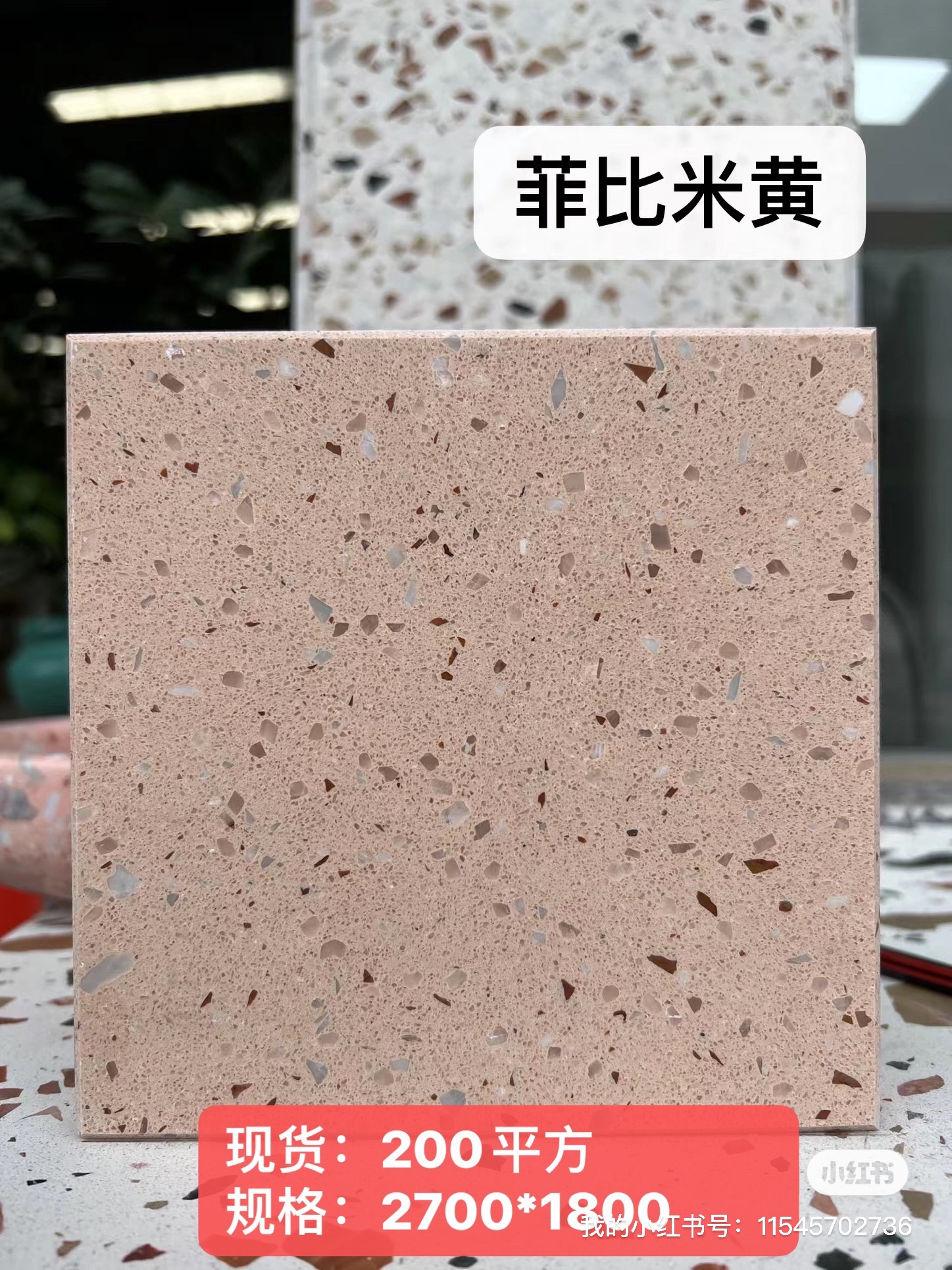 大圖