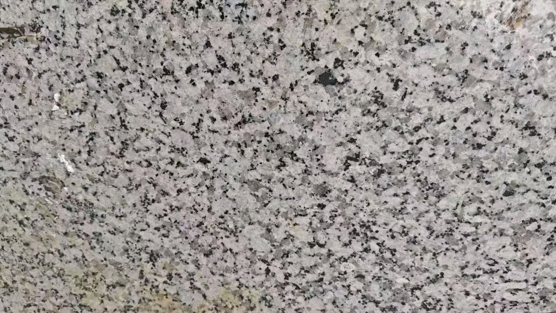 大圖