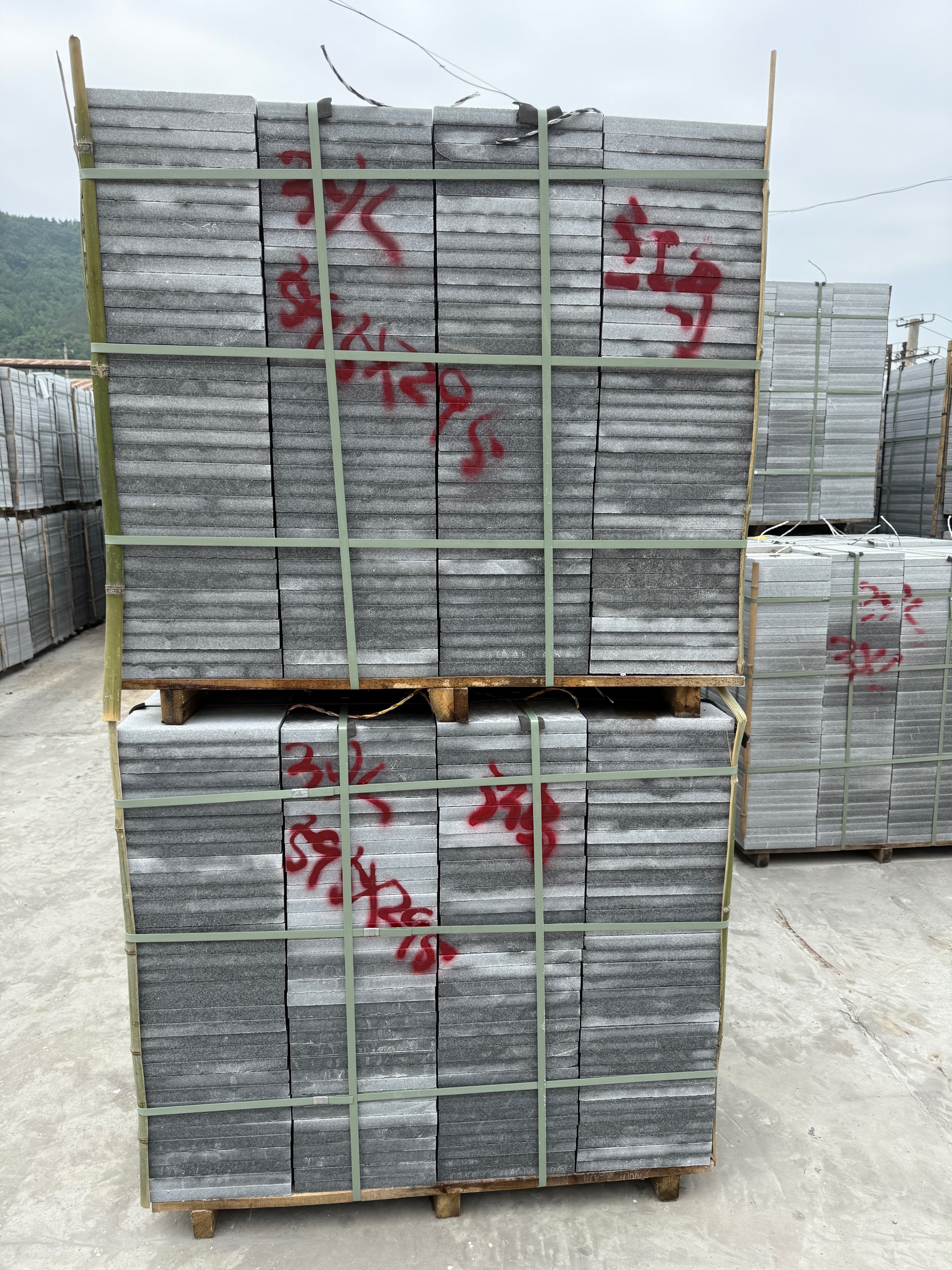 大圖