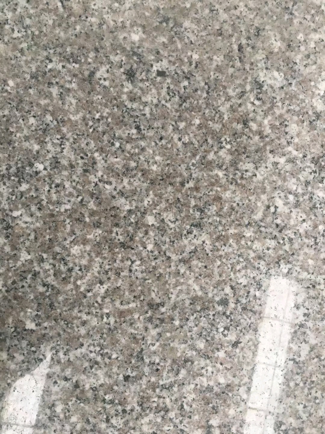 大圖