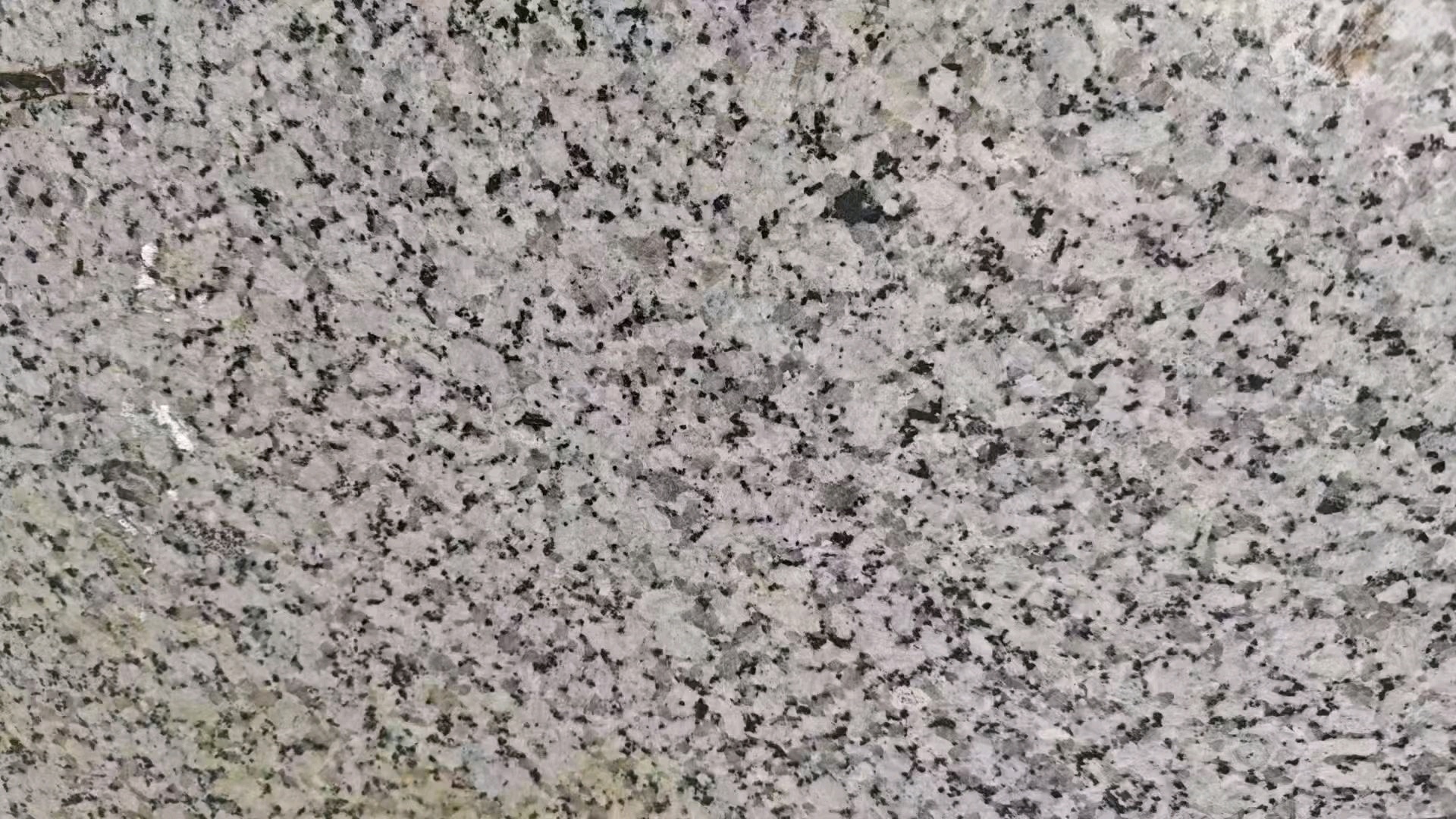 大圖