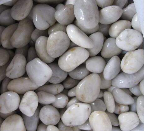 供应抛光鹅卵石