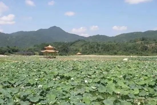 微信圖片_20220531081342.jpg