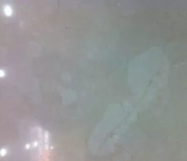 微信圖片_20230321083718.jpg