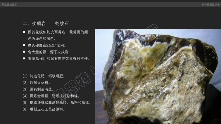 微信圖片_20230328090105.jpg