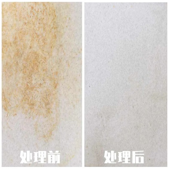 微信圖片_20230402142956.jpg