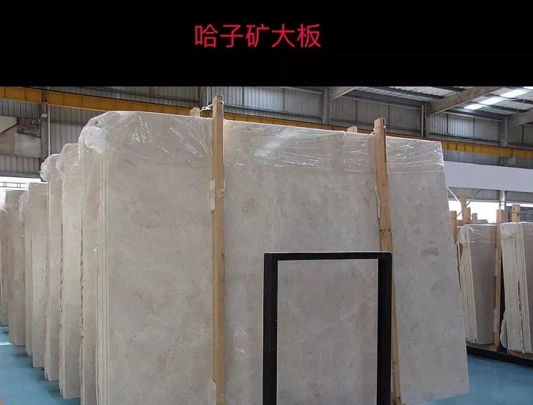 微信圖片_20230415144452.jpg