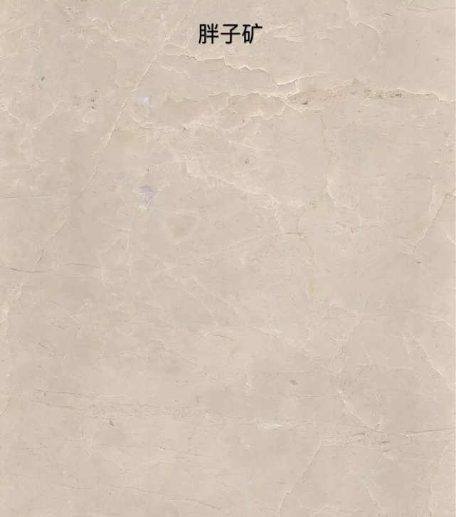 微信圖片_20230415144500.jpg