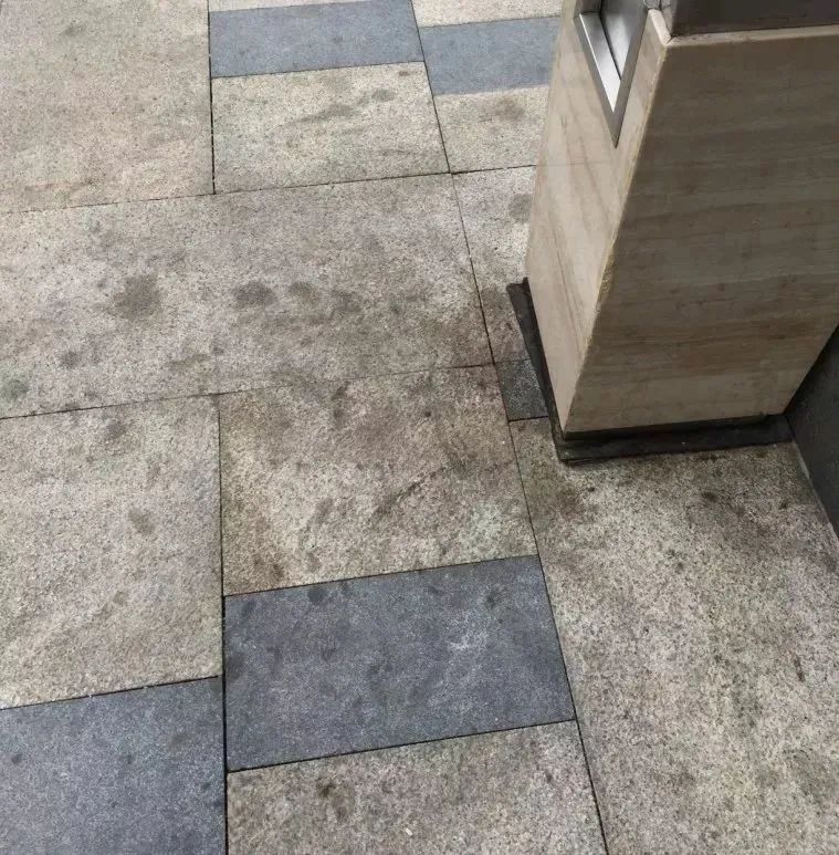 微信圖片_20230419083325.jpg