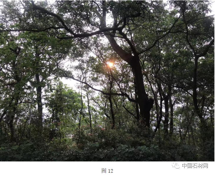 微信圖片_20230424083711.png