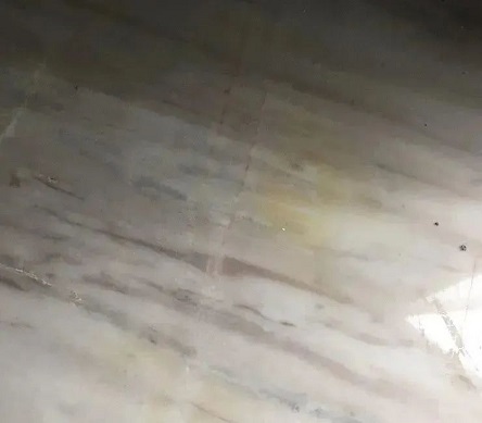 微信圖片_20230424144307.jpg