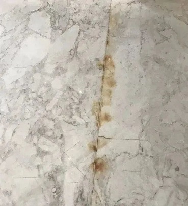 微信圖片_20230424144310.jpg