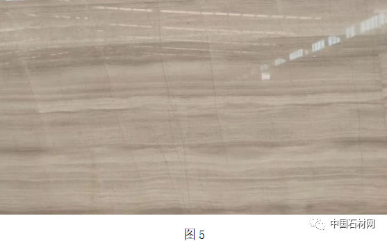 微信圖片_20230428114923.png